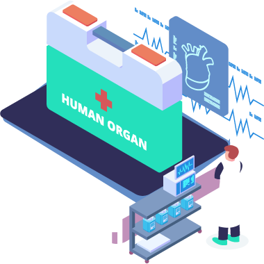 Automation in Final Selection and Organ Transplantation.
